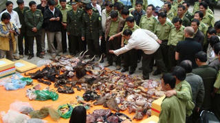 Luật nghiêm, dịch bệnh sẽ không còn!