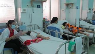 Sốt xuất huyết, bệnh tay chân miệng ở TP HCM tăng