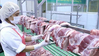 Ức chế đến từng miếng ăn