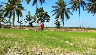 EU, Pháp hỗ trợ Việt Nam tăng cường khả năng chống chịu và quản lý nước, tài nguyên thiên nhiên