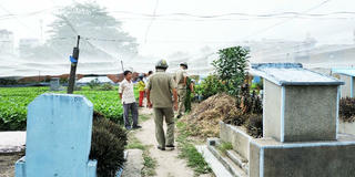 Vụ trồng rau trên đất mộ tại TP HCM: Chỉ đạo của Chủ tịch quận 12 bị đối tượng vi phạm 'phớt lờ'