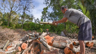 “Cuộc chiến” chống hạn mặn lịch sử tại Đồng bằng sông Cửu Long: Sự chủ động đã giúp đời sống xã hội không xáo trộn quá lớn