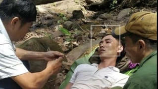 Người đàn ông nguy kịch vì bị ong rừng đốt