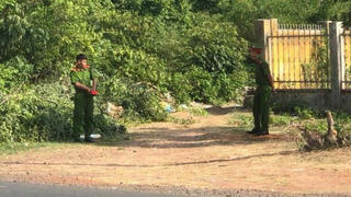 Voi nhà quật chết người ở Đắk Lắk