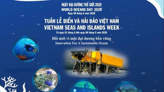 Hưởng ứng Tuần lễ Biển và Hải đảo Việt Nam