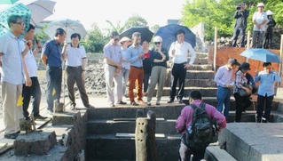 Khảo sát bãi cọc tại huyện Thủy Nguyên, Hải Phòng