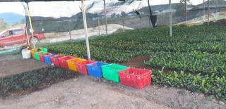 Một vụ hợp tác kinh doanh bất thành tại Tiền Giang: Dấu hiệu hình sự hóa tranh chấp dân sự