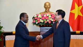 Nỗ lực đẩy mạnh quan hệ kinh tế, thương mại Việt Nam - Angola