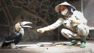 Hoạn nạn mới tỏ lòng nhau