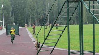 Học hỏi kinh nghiệm huấn luyện Cảnh khuyển