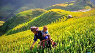 Êm đềm lời ru các dân tộc Việt 