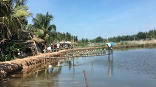 3 người chết bất thường trong chòi canh tôm 