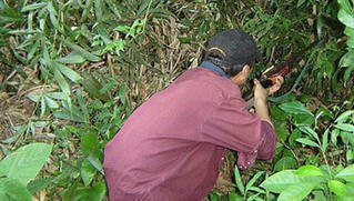 Người đàn ông thiệt mạng vì trúng đạn thợ săn chim