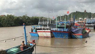 Xử lý nghiêm chủ tàu thuyền không chấp hành quy định phòng tránh bão