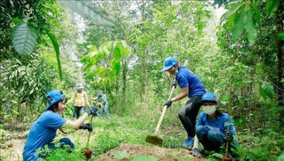 Mục tiêu 1 tỷ cây xanh