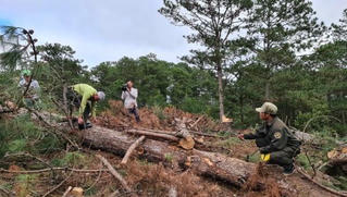 “Điếc không sợ súng”