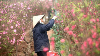 Lịch nghỉ tết Âm lịch và Quốc khánh năm 2021