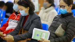 Một năm đại dịch Covid-19 – góc nhìn từ việc làm