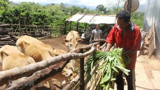 Tiêu chí xác định dân tộc còn gặp nhiều khó khăn, có yếu tố đặc thù