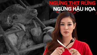 Tết tử tế không thịt thú rừng