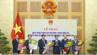 Thành lập Hội đồng Y khoa quốc gia