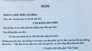 Giáo viên ra đề Ngữ văn có nội dung nhạy cảm