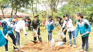 Cho cây đời mãi xanh