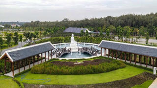 Đàn trâu “phong thủy” ở Sala Garden