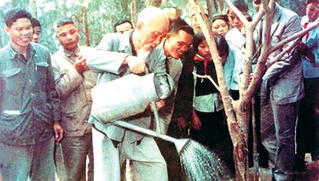 Mùa xuân là Tết trồng cây