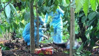 Thi thể không nguyên vẹn của nam thanh niên trong rẫy cà phê