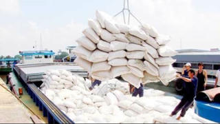 Chấm điểm uy tín nhà thầu mua gạo dự trữ quốc gia