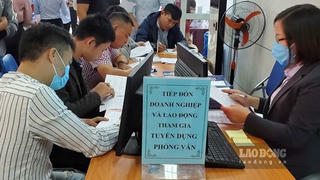 Phiên giao dịch việc làm online kết nối 6 tỉnh, thành