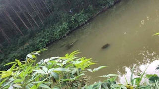 Hai chị em đuối nước dưới ao cạnh nhà