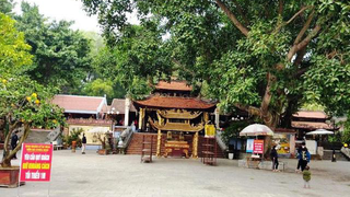 Bắc Ninh tạm dừng tổ chức lễ hội dịp Tết Nguyên đán