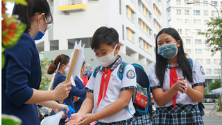 Hơn 80% phụ huynh bậc tiểu học tại TP HCM đăng ký cho con tới trường