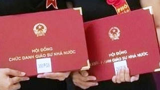 Ứng viên giáo sư, Phó giáo sư ngành nào bị loại nhiều nhất?