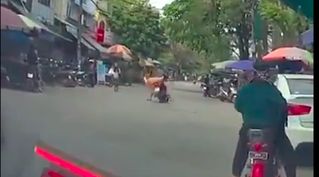 Đang đi cô gái ngã ngửa vì vật dụng hầu hết chị em đều có