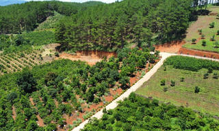 Lâm Đồng gặp vướng khi triển khai dự án trên đất hỗn hợp