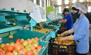 Lâm Đồng thưởng Tết Nguyên đán cao nhất 120 triệu đồng