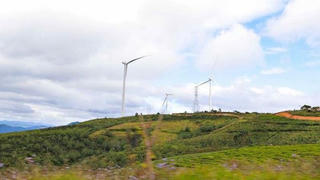 Chủ đầu tư nhà máy điện gió ở Đà Lạt bị xử phạt hơn 1 tỷ đồng