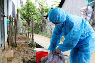 Tăng số ca sốt xuất huyết ở Lâm Đồng