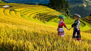 Những địa điểm không thể bỏ qua khi đến Yên Bái