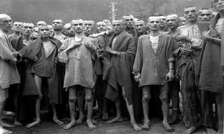 Sự tàn bạo của Hitler đối với những người đồng tính, khuyết tật