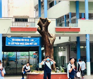Chặt bỏ hàng loạt cây phượng giải pháp an toàn hay cách làm cực đoan?