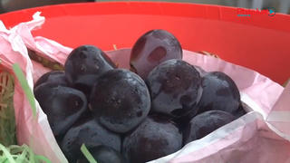 Chùm nho 24 quả giá 11 triệu đồng