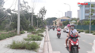 Hà Nội: Hàng trăm cây xanh chết yểu trên tuyến đường mới mở