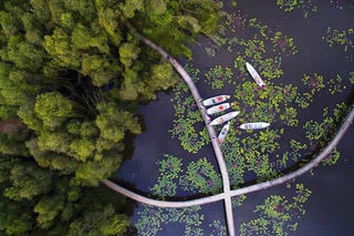 Về Long An khám phá "Khát vọng sông Vàm", trải nghiệm "cánh đồng bất tận"