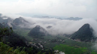 Kỳ thảo giúp trường thọ ở thung lũng mây trắng