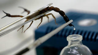 Yêu cầu kiểm soát chặt chẽ việc kê đơn chế phẩm trị ung thư