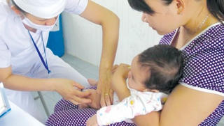 Bộ y tế: Có thể gia tăng số mắc mới viêm não Nhật Bản trong thời gian tới